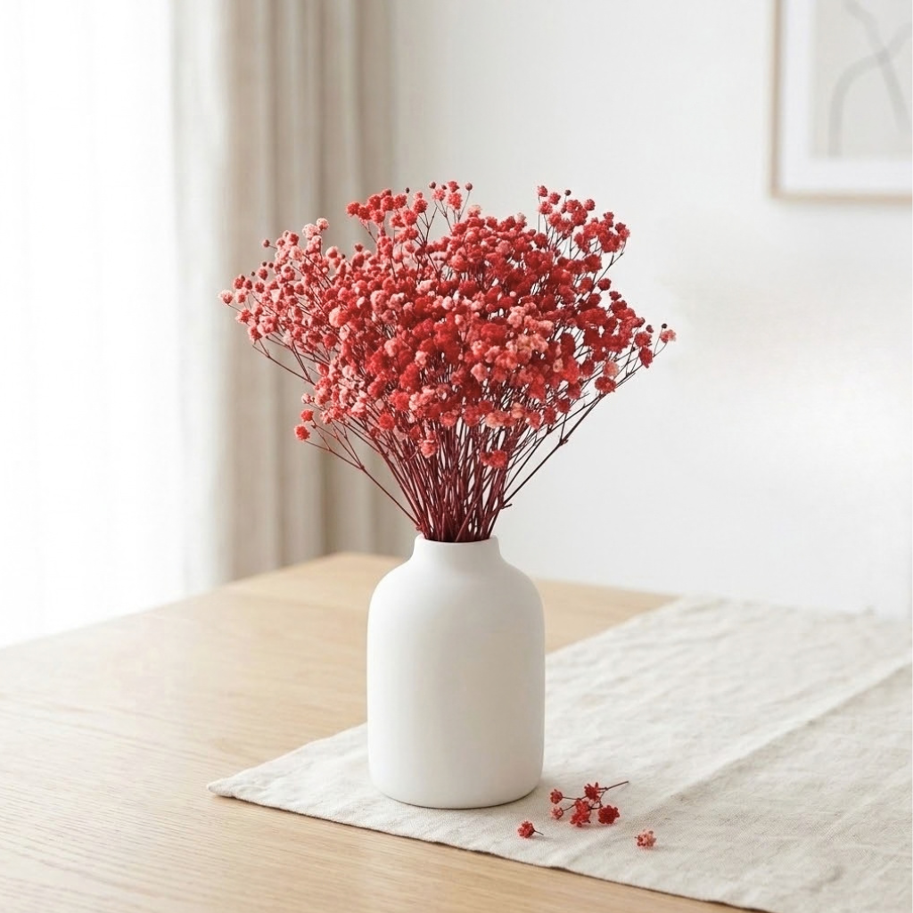 Červená stabilizovaná gypsophila neboli nevěstin závoj, svazek cca 45 g